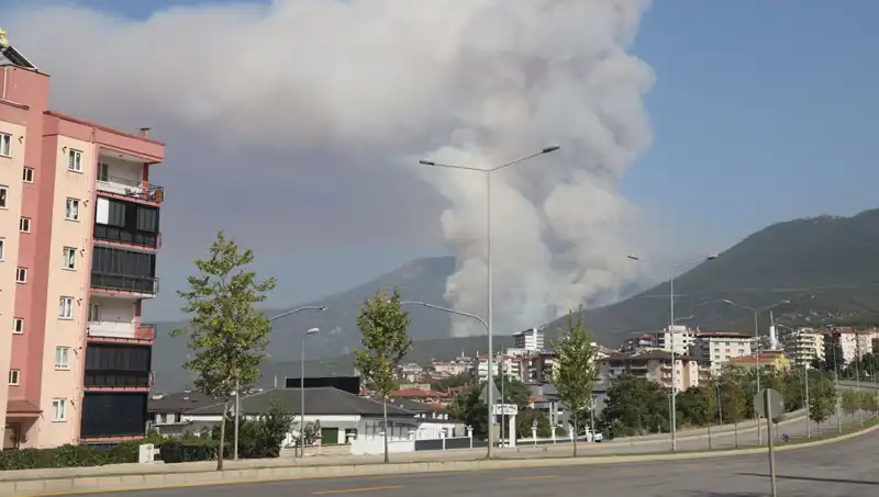 Denizli'de Orman Yangını Çıktı: Şüpheli Gözaltında, Alevlere Karşı Mücadele Sürüyor