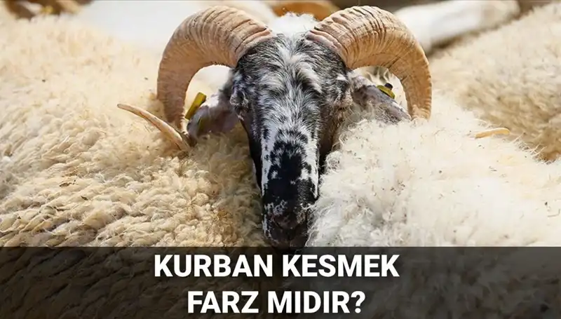 Kurban Kesmek Farz Mı? Diyanet'in Belirttiği Şartlar ve Hükmü