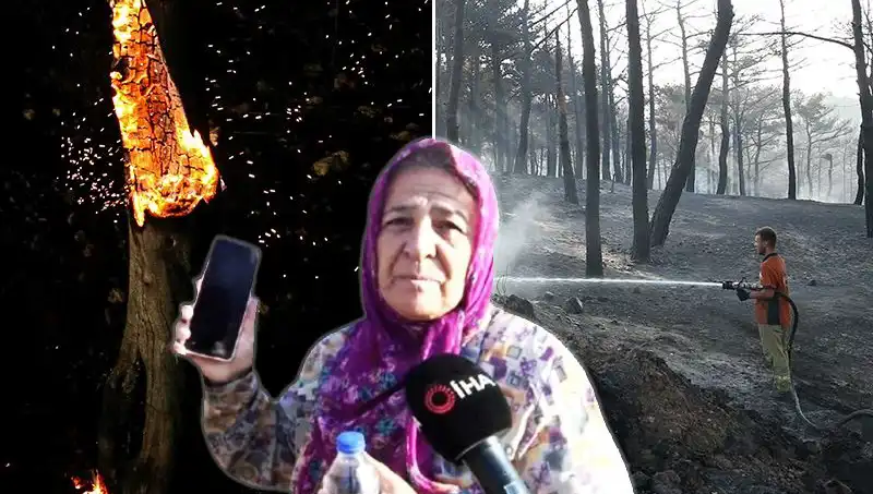 Çanakkale Orman Yangınları Kontrol Altına Alındı: Son Durum Nedir?