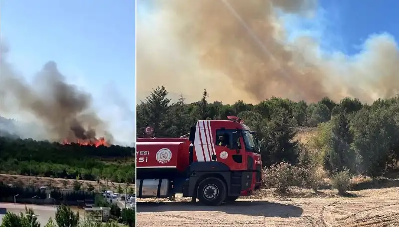 Gebze Orman Yangını: Yangına Müdahale ve Son Durum Nedir?