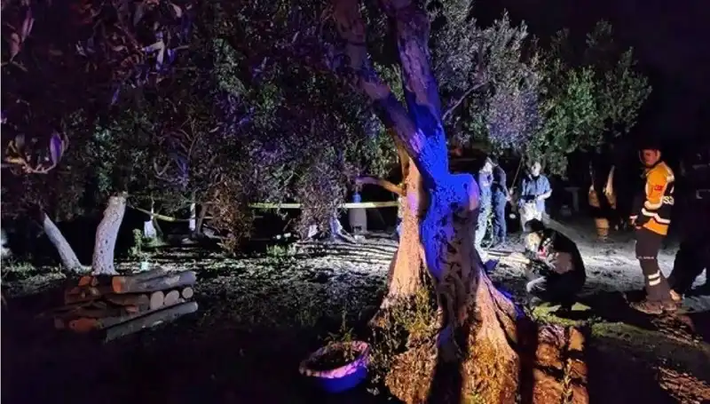 Çiftlikteki Baltalı Vahşet: Korkunç Olayda İlk Tutuklama Gerçekleşti