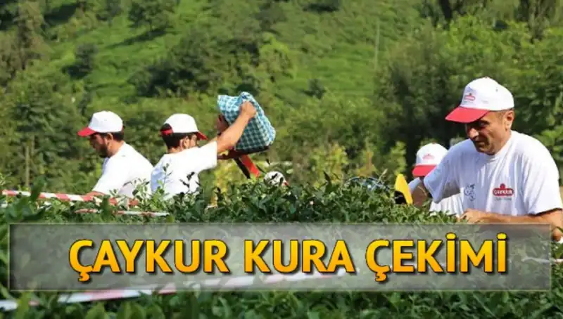 Çaykur Canlı Kura Sayfası: Çaykur Kura İsim Listesine Nasıl Ulaşılır?