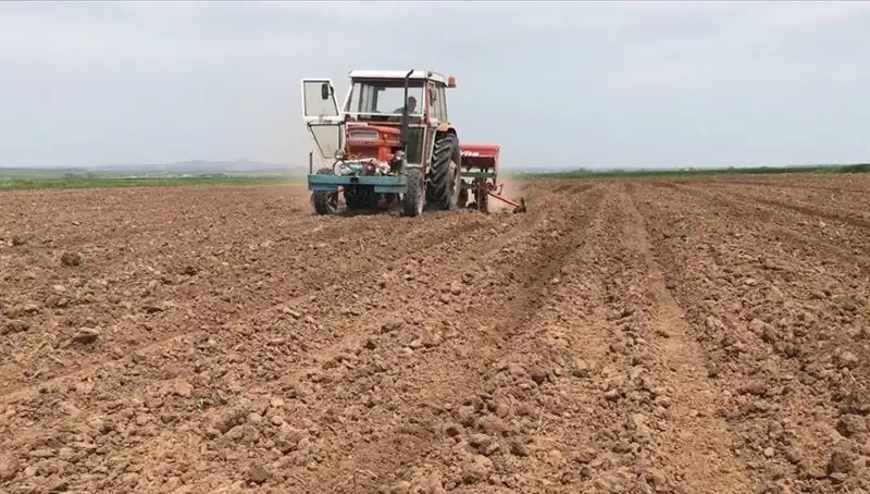 Son 35 Yılın En Kurak Mart Ayı: Yağışlarda Tarihi Düşüş!