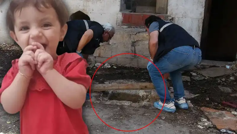 Cesedi Kuyuda Bulunan Aric'in Gizemli Ölümü: Katili Kim?