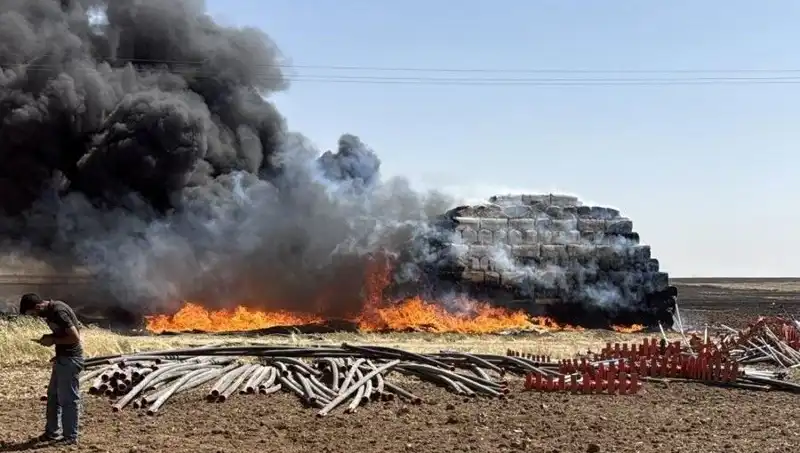 Mardin'de Anız Yangını: Tarım Alanları ve Ekonomik Etkileri Üzerine Düşündüren Olay