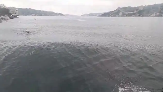 İstanbul Boğazı'nda Dalgaların Yükselmesi: Doğanın Güç Gösterisi