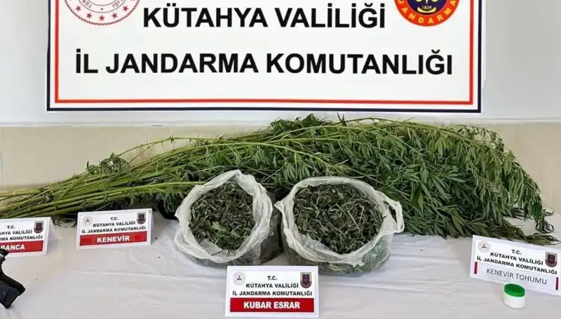Kütahya'da Uyuşturucu Operasyonu: Bir Şahıs Tutuklandı
