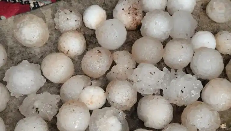 Şanlıurfa’da Kar Topu Büyüklüğünde Dolu Yağışı Şok Etkisi Yarattı!