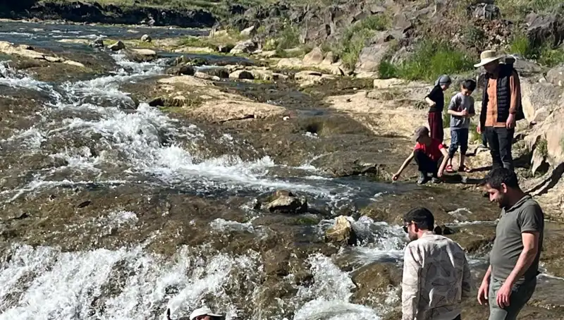 İnci Kefali Göçü: Doğa Tutkunları ve Turistler Büyülendi